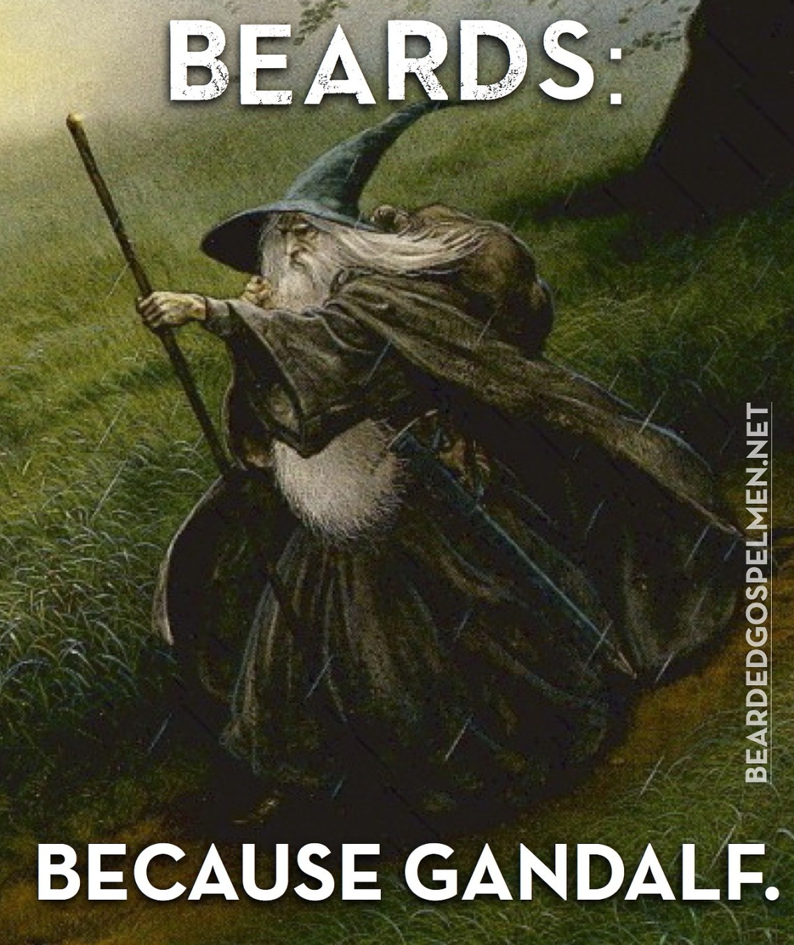 gandalfbeard